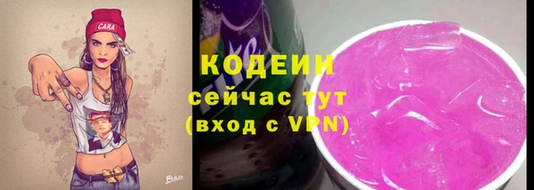дмт Новозыбков