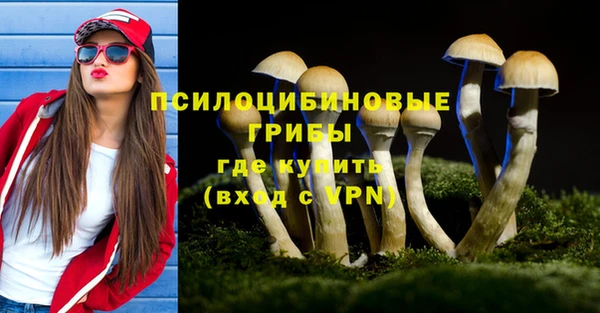 герыч Новодвинск