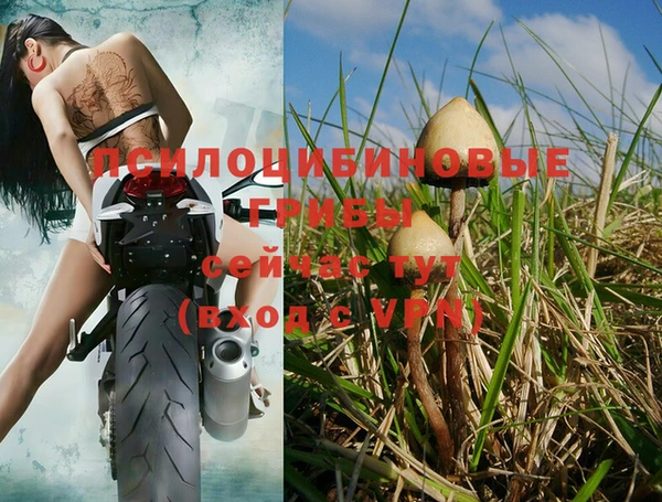 дмт Новозыбков