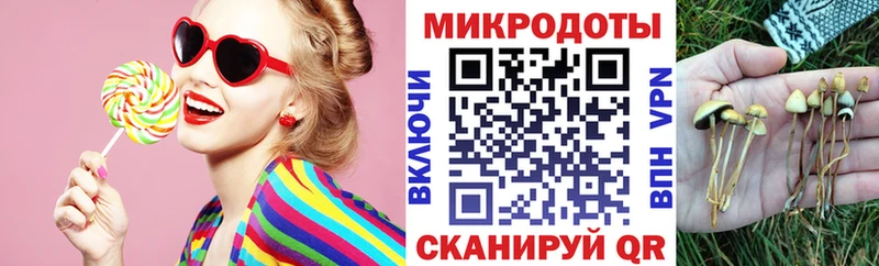 omg онион  Адыгейск  Псилоцибиновые грибы Psilocybe 
