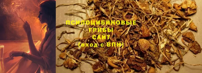 OMG рабочий сайт  Адыгейск  Галлюциногенные грибы Psilocybe 