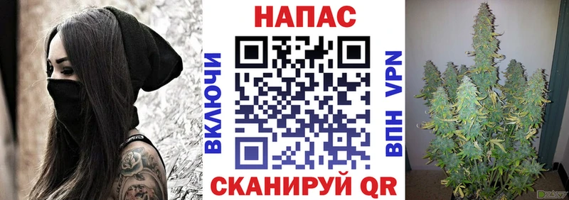где найти наркотики  Адыгейск  OMG сайт  Бошки марихуана план 